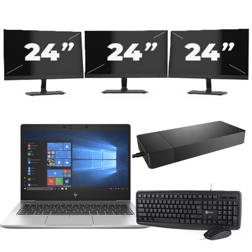 HP EliteBook 735 G6 - AMD Ryzen 5 PRO 3500U - 13 inch - 8GB RAM - 256GB SSD - Windows 10 + 3x 24 inch Monitor