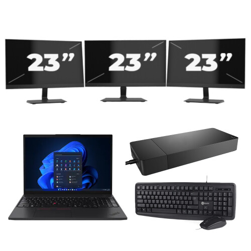 Lenovo ThinkPad T495 - AMD Ryzen 5 PRO 3500U - 14 inch - 16GB RAM - 256GB SSD - Windows 11 Home + 3x 23 inch Monitor