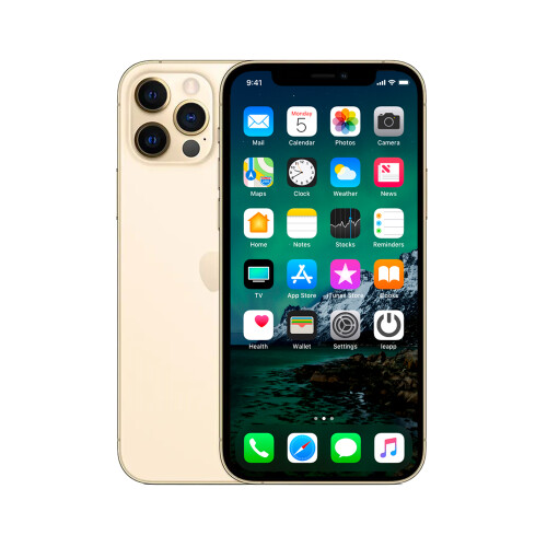 Refurbished iPhone 12 Pro Max 256 GB Goud Als nieuw + Nieuwe batterij
