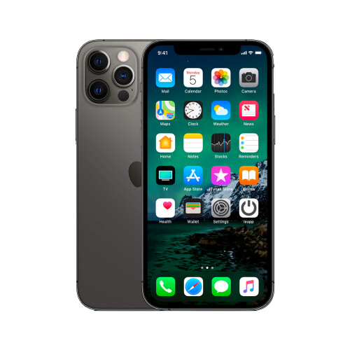 Refurbished iPhone 12 Pro Max 256 GB Grafiet Zichtbaar gebruikt